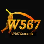 W567 Game