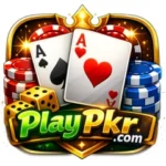 PlayPkr Game
