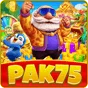 pak75 game